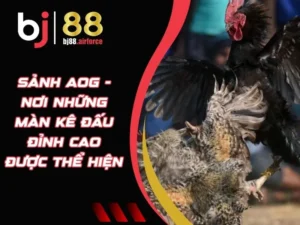 Sảnh AOG